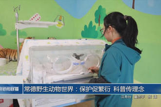 澳门新葡新京在线