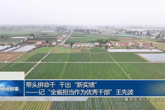 澳门新葡新京在线