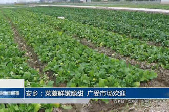 澳门新葡新京在线