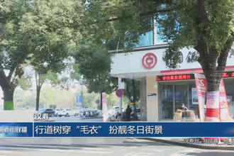 澳门新葡新京在线