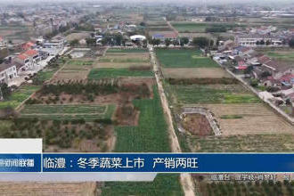 澳门新葡新京在线