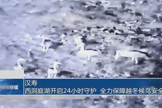 澳门新葡新京在线