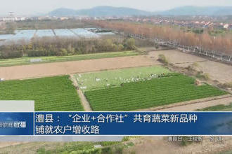澳门新葡新京在线