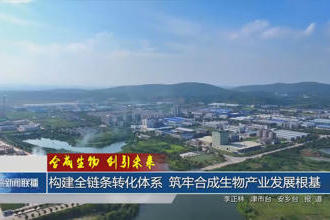 澳门新葡新京在线