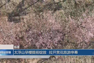 澳门新葡新京在线
