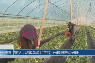 澳门新葡新京在线