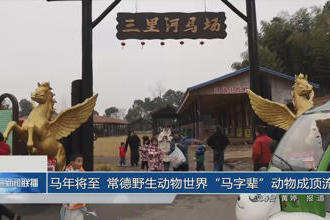 澳门新葡新京在线
