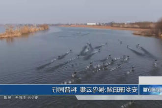澳门新葡新京在线