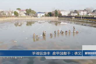 澳门新葡新京在线
