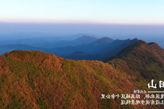 澳门新葡新京在线