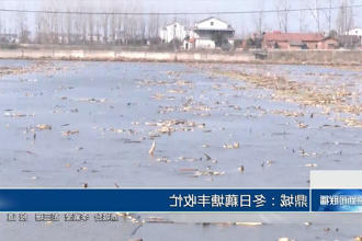 澳门新葡新京在线