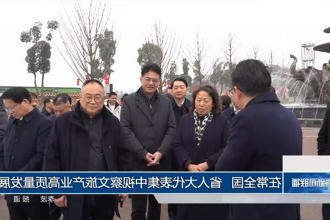 澳门新葡新京在线
