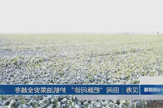 澳门新葡新京在线