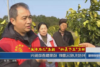 澳门新葡新京在线