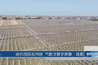 澳门新葡新京在线