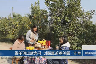 澳门新葡新京在线
