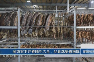 澳门新葡新京在线