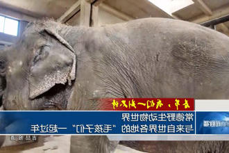 澳门新葡新京在线