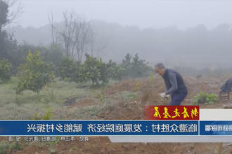 澳门新葡新京在线