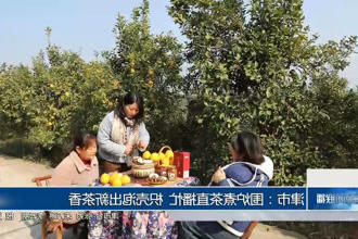 澳门新葡新京在线