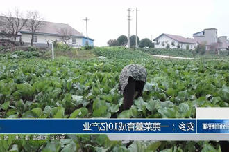 澳门新葡新京在线