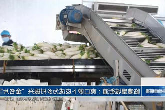 澳门新葡新京在线