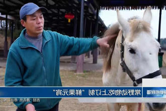 澳门新葡新京在线