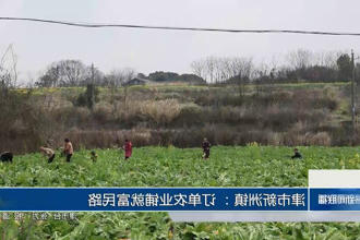 澳门新葡新京在线