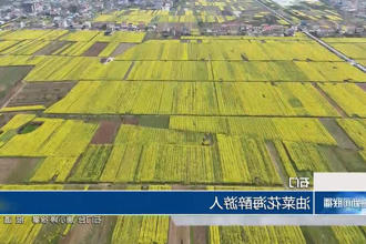 澳门新葡新京在线