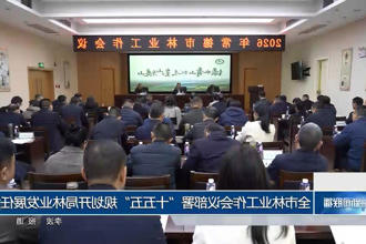 澳门新葡新京在线