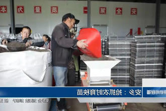 澳门新葡新京在线