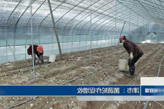 澳门新葡新京在线