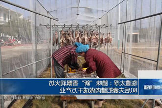 澳门新葡新京在线