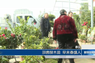 澳门新葡新京在线