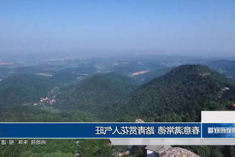 澳门新葡新京在线