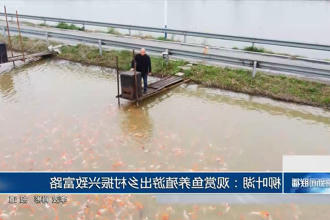澳门新葡新京在线