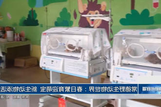 澳门新葡新京在线