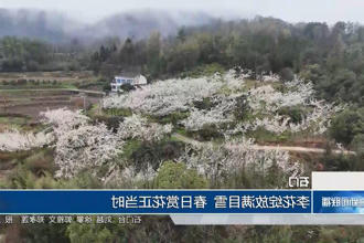 澳门新葡新京在线