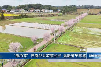 澳门新葡新京在线