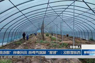 澳门新葡新京在线