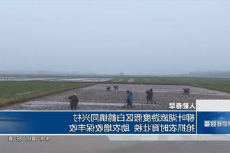 澳门新葡新京在线