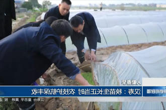 澳门新葡新京在线