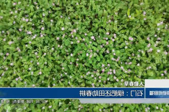 澳门新葡新京在线