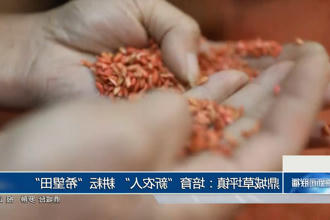 澳门新葡新京在线