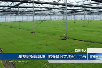 澳门新葡新京在线