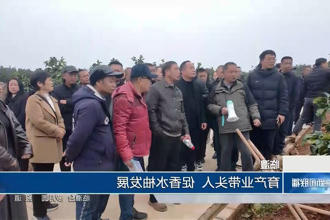 澳门新葡新京在线