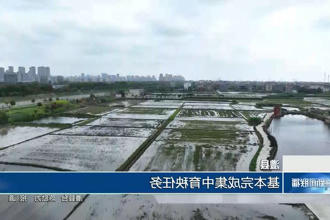 澳门新葡新京在线