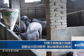 澳门新葡新京在线