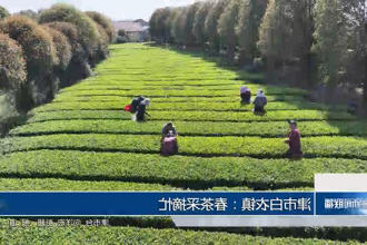 澳门新葡新京在线