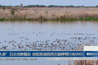澳门新葡新京在线